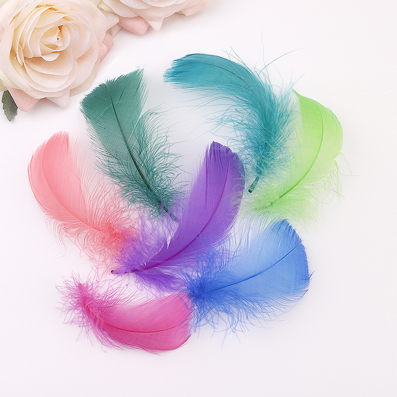 Each color is shot in multiples of 100, single price