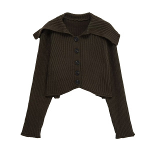 ���Q2025�W�������¿�r���ݼy�~�۷��w�L��ᘿ���ë�� 1336