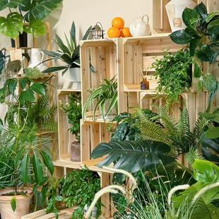 ��ľ�ռ{�����ֲ��ľ���b��ж��^ľ�������ľ����ˮ��չʾ��