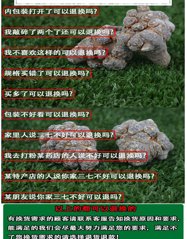 San Qi Notoginseng Root Tian Qi Dried Whole Roots Wenshan Panax notoginseng for Decoction and Powder in use