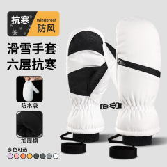 冬用男性と女性用スキーグローブ、ノースイーストマイナス特別スキー保護具、防水性と厚みのあるダブルボード蒸れやすい暖かい手袋