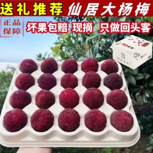 �ɾӖ|����÷�r���㽭���rˮ���Fժ�F�l�����ЋDˮ�����÷6��