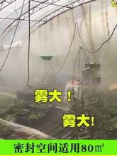 大棚加湿器食用菌兰花棚养护室养殖增湿自动喷雾机离心雾化盘智能