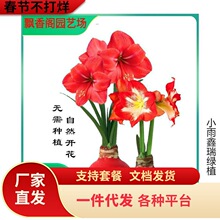 ͥԺ���B������피t ���]��֧ɏ ���Ȼ����� ��ꎾ��Ӽt ����피t