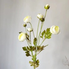 8�^�軨���滨���l����������ș��õ�ٻ��b�Y������uͨ���R