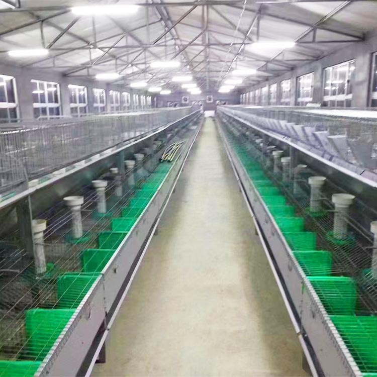 兔笼养殖繁育笼自动清粪投料兔舍设计批发一体