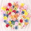 Realistic lifelike decorations, (Physicals), high-quality style, DIY