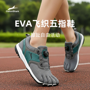 GallonShark�ꂐ����ָ��ֺЬ�҃ȾCӖ���٤����������������