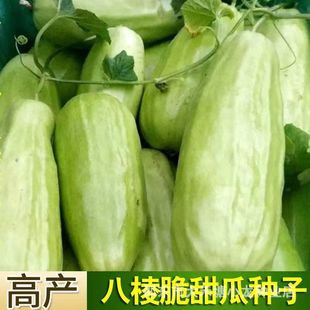 ���ְ����ϷN�������ϴ����߲�ˮ���N��ˮ���r����Ʒ�N�߲���