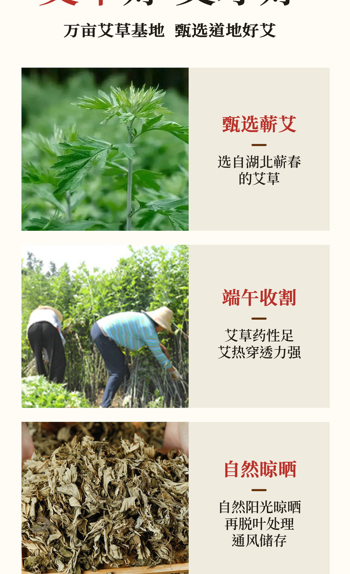 Li Shizhen 3-Year Aged Qiai Moxa Sticks Pure Mugwort Moxibustion Rods for Home Use 30 Count Box quality and texture