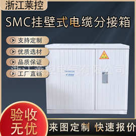 玻璃钢非金属配电箱塑钢壁挂式电缆分支箱SMC综合箱