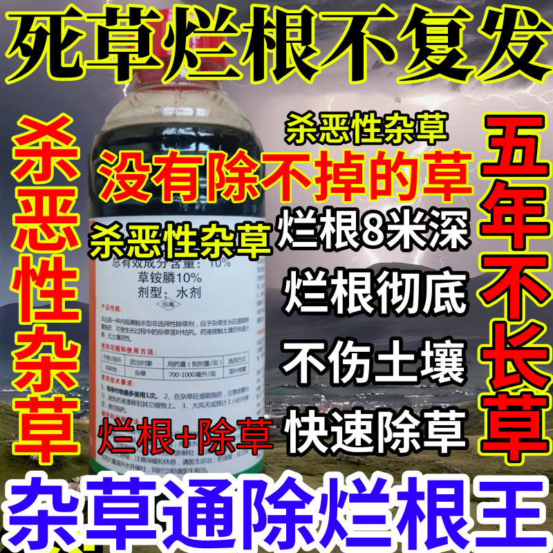死根烂根不复发精草铵膦铵盐果园烂根小飞蓬耕地强效除草剂烂根王