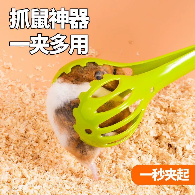 Хомяки кормят мышей, ловят золотых медведей