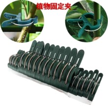 �@�֊A ���Ϸ��ъA ����ֲ��̶��޽� ֲ��A�ӈ@ˇ�A�����A���l