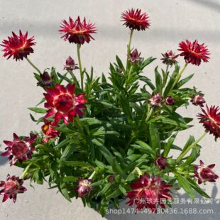 �����������҃Ȼ��@ͥԺ�̨�@ˇ�л����^�G�������[�������՚�