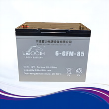 西林6GFM85蓄电池中力小金刚托盘堆垛车电动叉车诺力龙工叉车理士