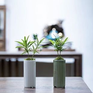 �ձ��_�h�� ���������^�~ֲ��Ĵָ�辰������Gֲ ��ʽ