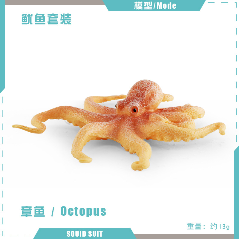 Pulpo PL127-2254 13g
