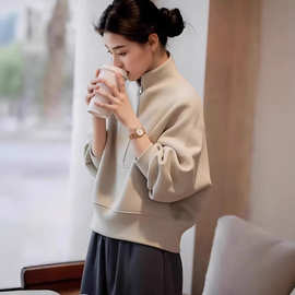 极简风立领拉链卫衣女2026春秋冬季新款宽松显瘦百搭高级感上衣外