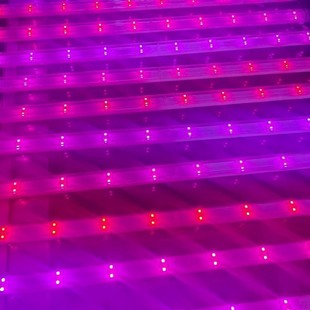 Point Light Line Light Full Color Line Light Building Exterior Wall Full Color Light Tube Dc24V Outdoor Waterproof Color Multi