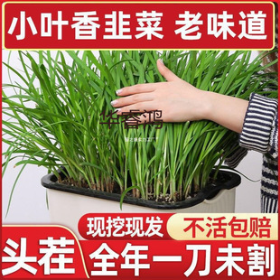 ²˸ϸ²˸N²rFڴ~tС~rļ