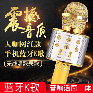 Microphone and Speaker Integrated Microphone for Karaoke, Mobile Singing Device, Home Wireless Bluetooth Karaoke Machine 858