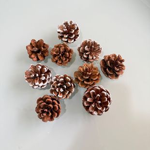 On the catty pine cone Christmas decoration pendant creative ornaments cotton diy shooting props dried flower pine cone
