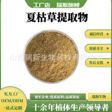 夏枯草提取物 夏枯草粉 20:1萃取夏枯草皂甙 优质比例提取物 现货