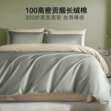 100�L�q�޼���ȫ�޴����ļ���ؕ�����α������ļ���ҿ�