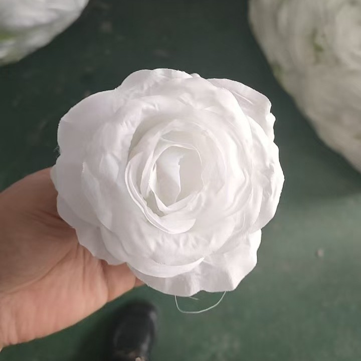 안나 로즈 퓨어 화이트