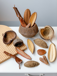 ������뚤�M�ڹ����ɻ��b[���N��ֲ��˱�diy���ϰ��~���쾰
