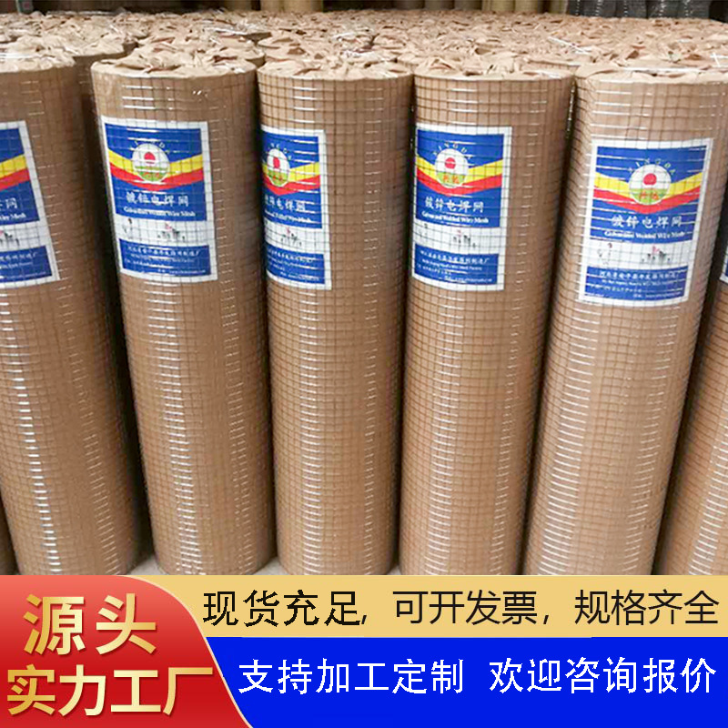 内外墙抹灰保温挂网钢丝网电焊网抹灰网不锈钢热养殖网镀锌电焊网