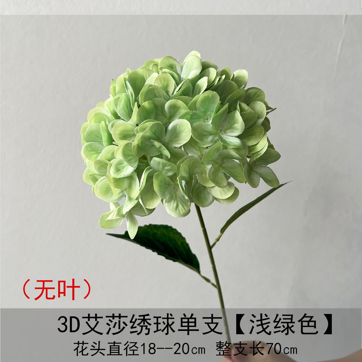 Hortensia Aisha 3D sin hojas en una sola rama - verde claro