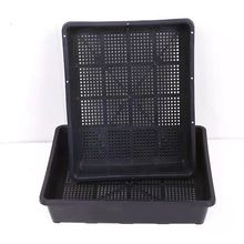 厂家直销新款加厚育苗盘多肉育苗盆整理框种菜芽菜穴盘叶插育昌震