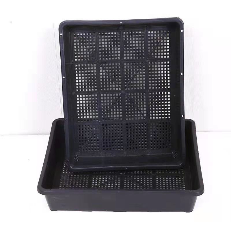 厂家直销新款加厚育苗盘多肉育苗盆整理框种菜芽菜穴盘叶插育昌震