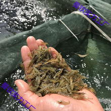 �^�p�r���l�ښ��r�׳����r��ˮ���坍�rˮ�����쾰�~�׹����r