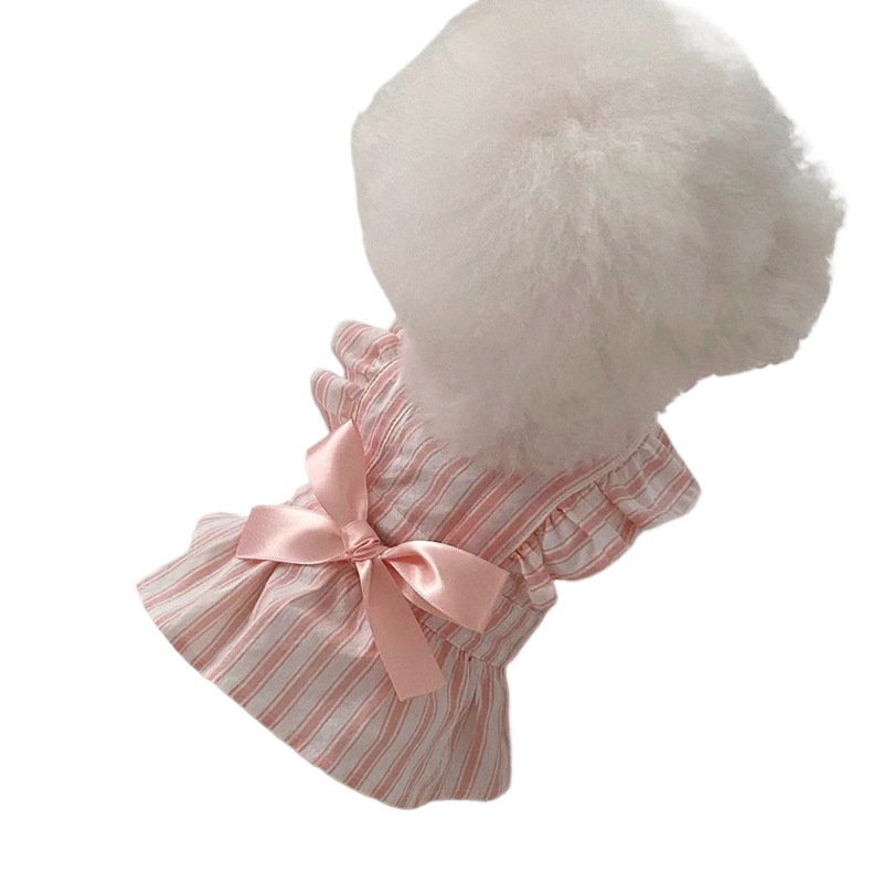 Robe fine de princesse pour animaux de compagnie (oursons, bichons, poméraniens, petits chiens, yorkshires, chats), vêtements d'été pour chiens_voghion.com