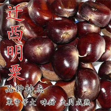 �F�������޽Ӵ�t�۰������Ϸ��������Թ���������������Y��