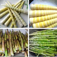 ���S���S��S�N��С��S��ë��S�N�ӱ޹S����S�N�Ӹ�ɽ�S�N��