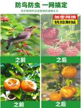 ������x�W���B�ִ�������{ݮ��÷ɏ�F�̨�����ѷ���ω����͸��