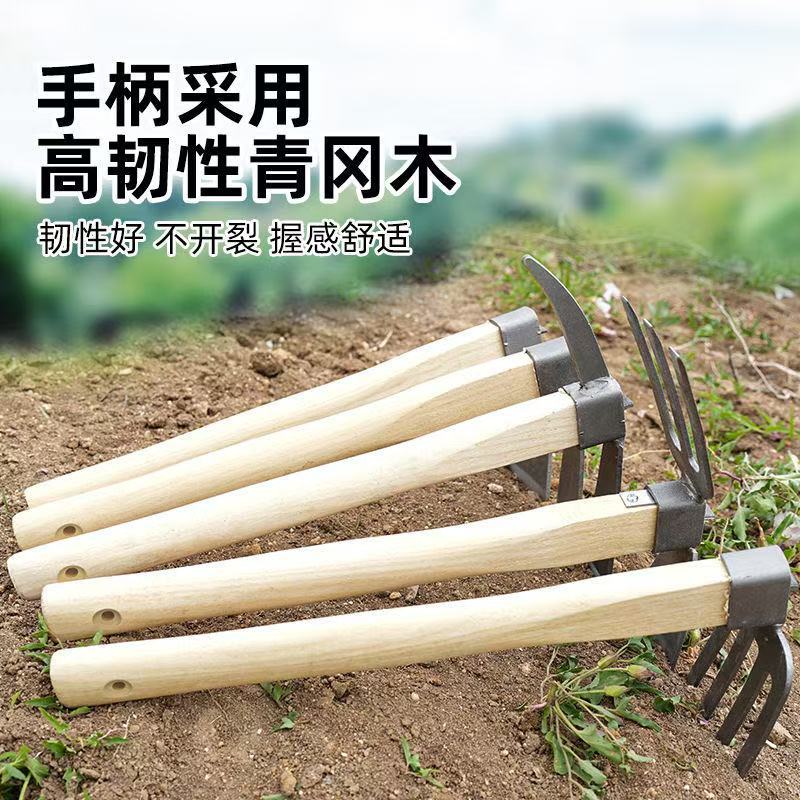 微信图片_202504231419394.jpg