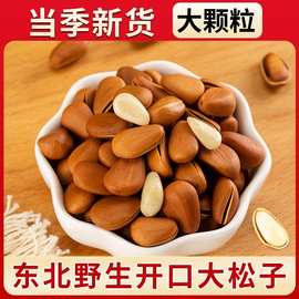东北开口松子大颗粒松子坚果炒货松子手剥大红松子新货新松子代发