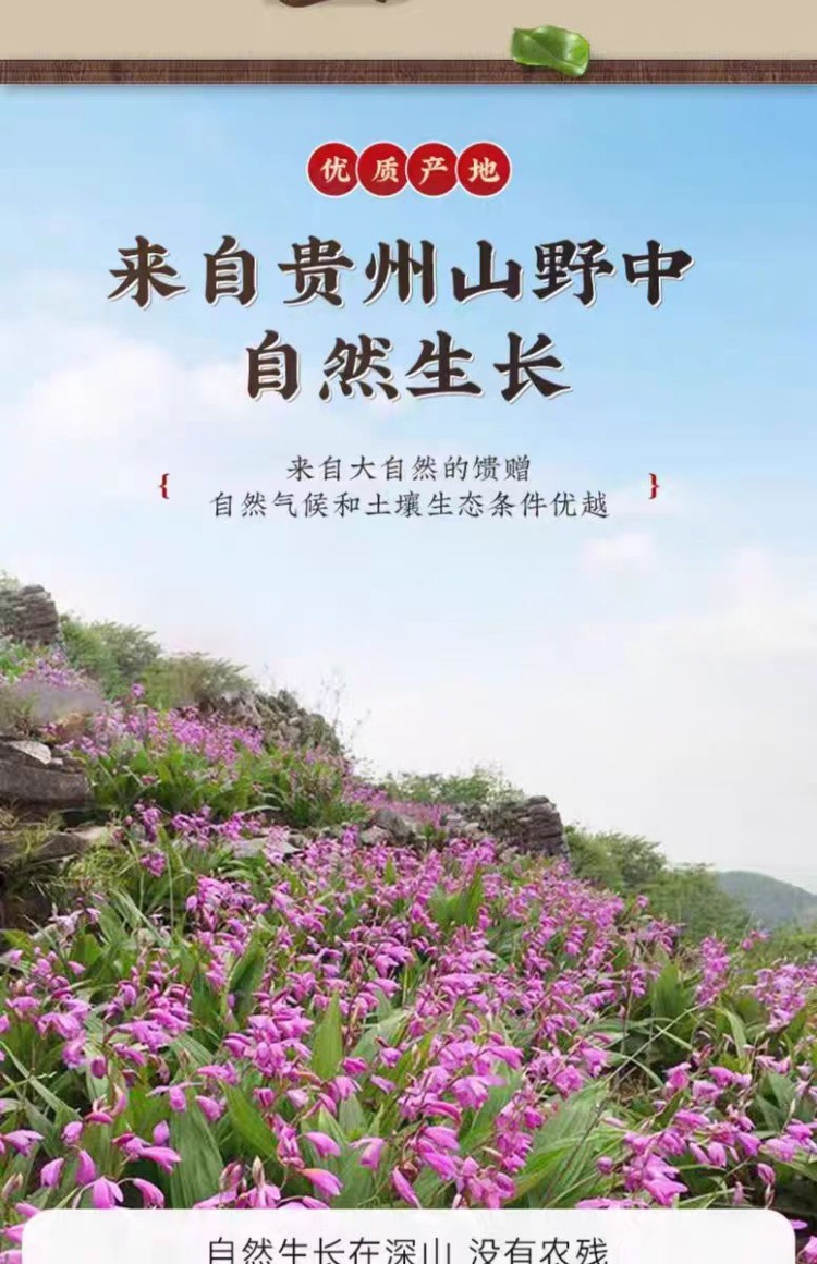 Bai Ji Slices (Bletilla striata) — Guizhou Dried Rhizome Slices, 500g key features