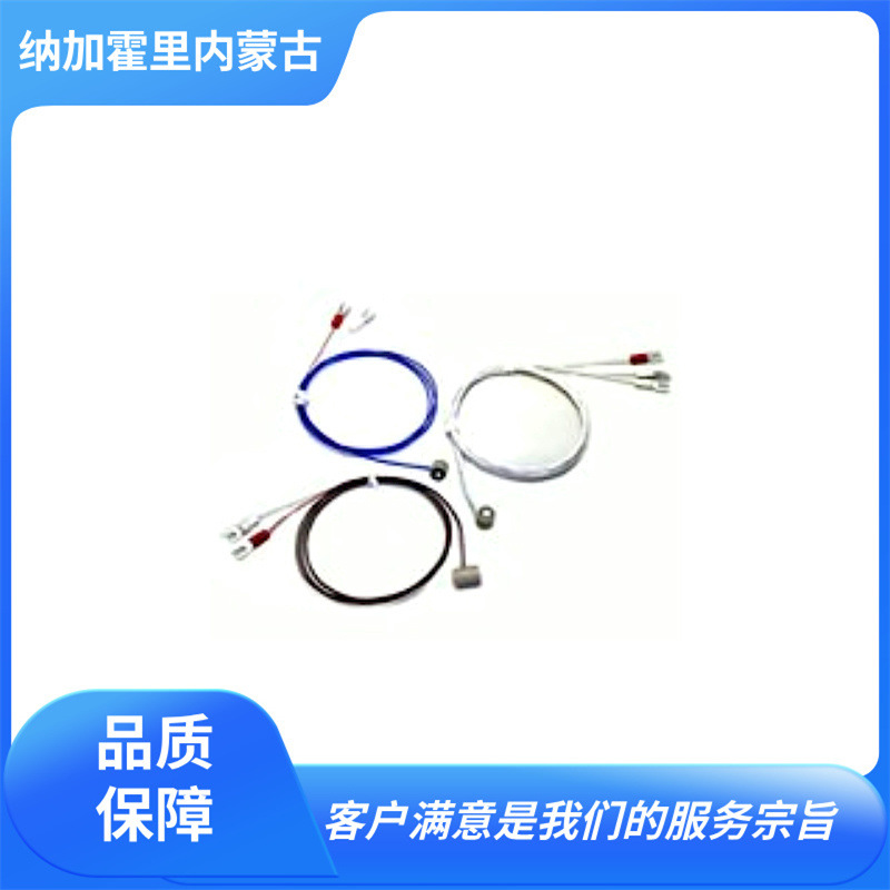 SAKAGUCHI 坂口电热 磁铁表面温度传感器热电偶/测温电阻体 MGTCK