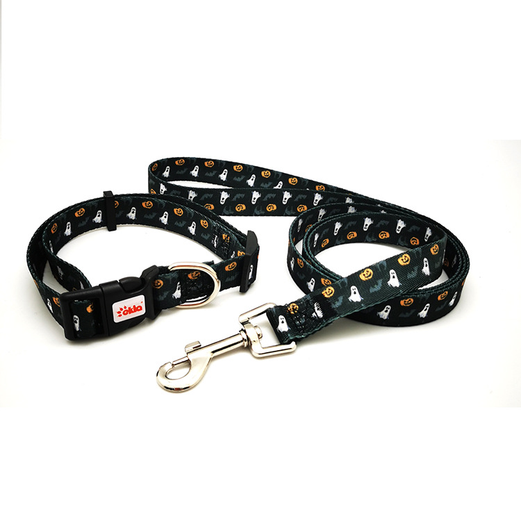 collar leash 2022