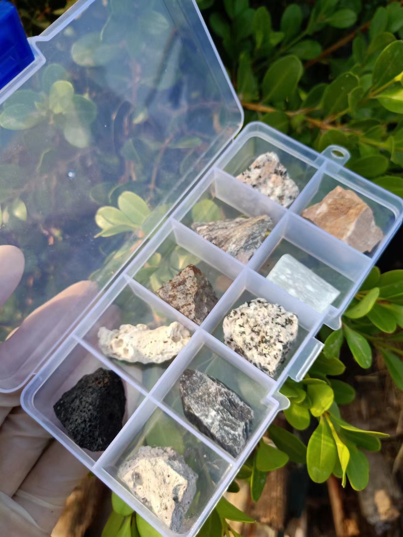 矿物标本资源整顿技术规程