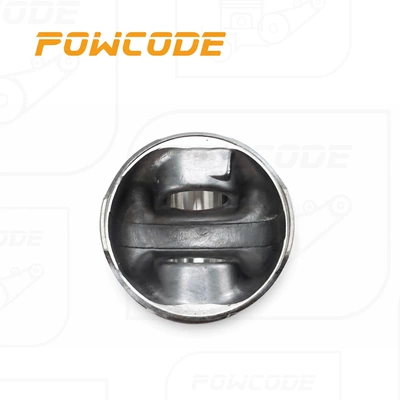 120A17699R is suitable Piston, piston ring, piston pin