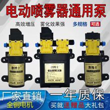 农用电动喷雾器水泵隔膜泵12V高压泵纯铜水泵电动泵微型泵批发