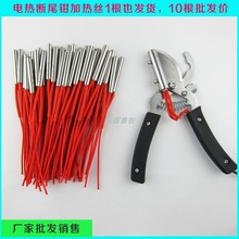 βQӟӟz늟ӟgСiβQβQ늟z