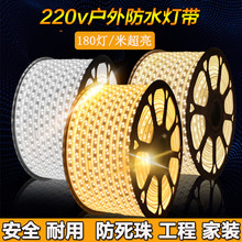 led灯带户外防水软灯带工程超亮吊顶公园桥梁养殖场线条硅胶220V